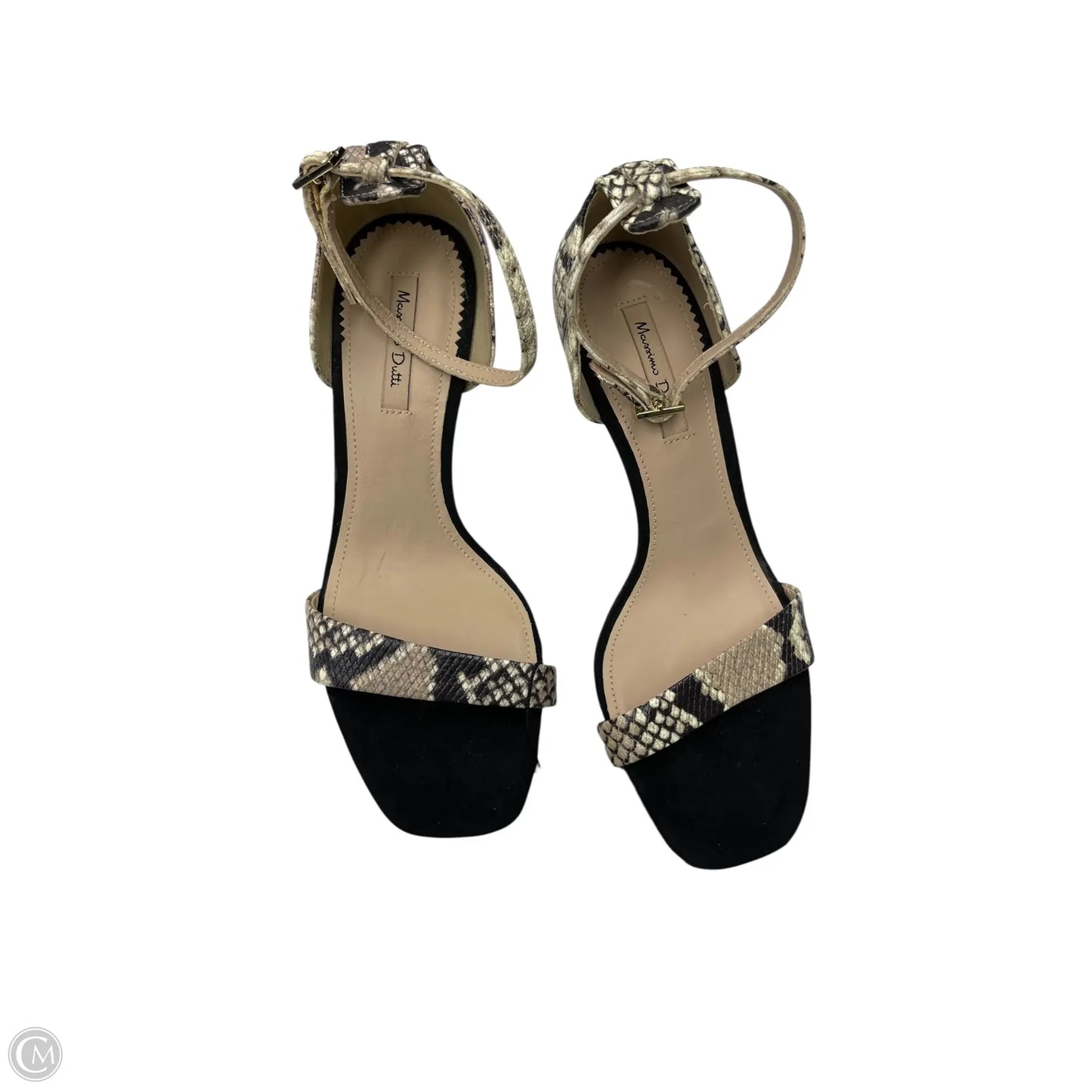 Shoes Heels Kitten By Massimo Dutti In Snakeskin Print, Size: 6