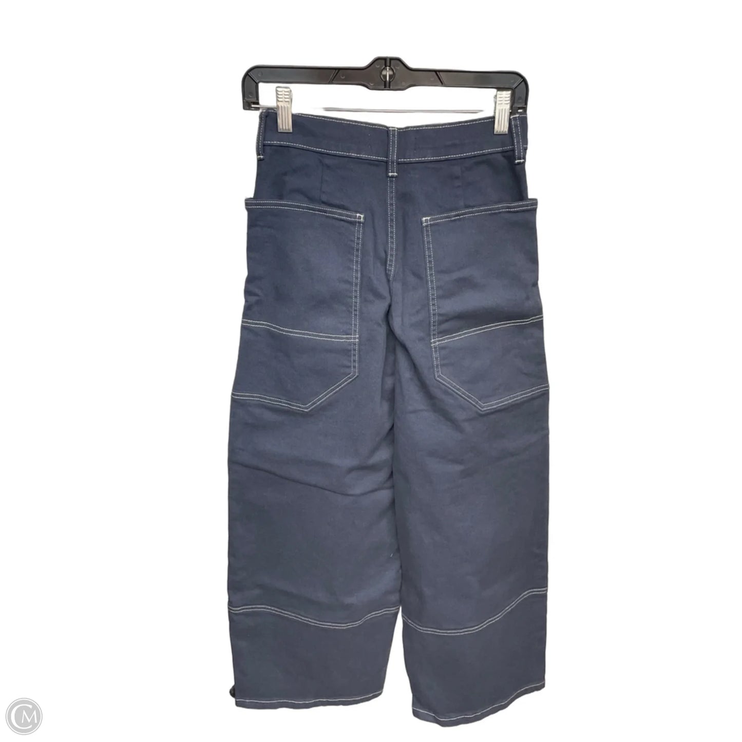 Pants Cargo & Utility By Everlane In Blue, Size: Xs