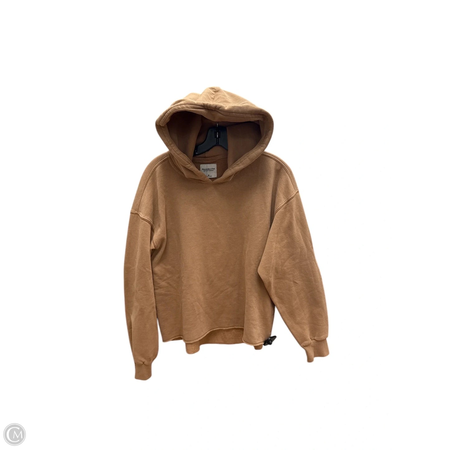 Sweatshirt Hoodie By Abercrombie And Fitch In Brown, Size: M