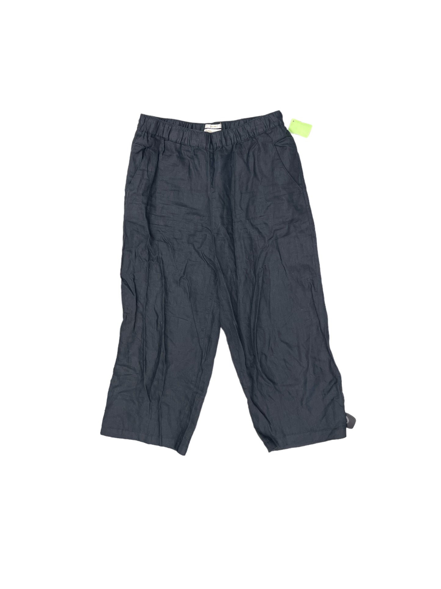 Pants Cropped By Cynthia Rowley Size: L