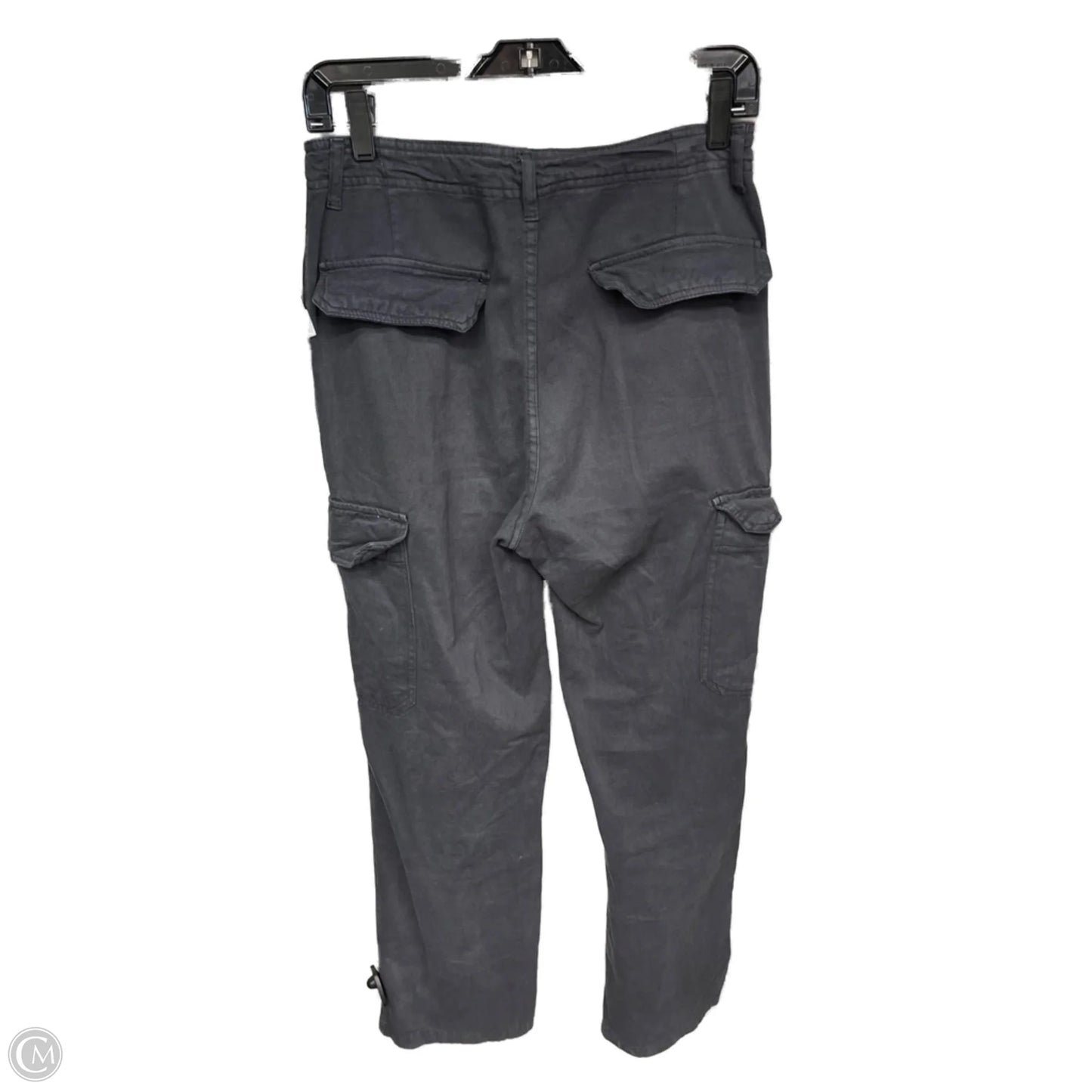 Pants Cargo & Utility By Zara In Blue, Size: 4