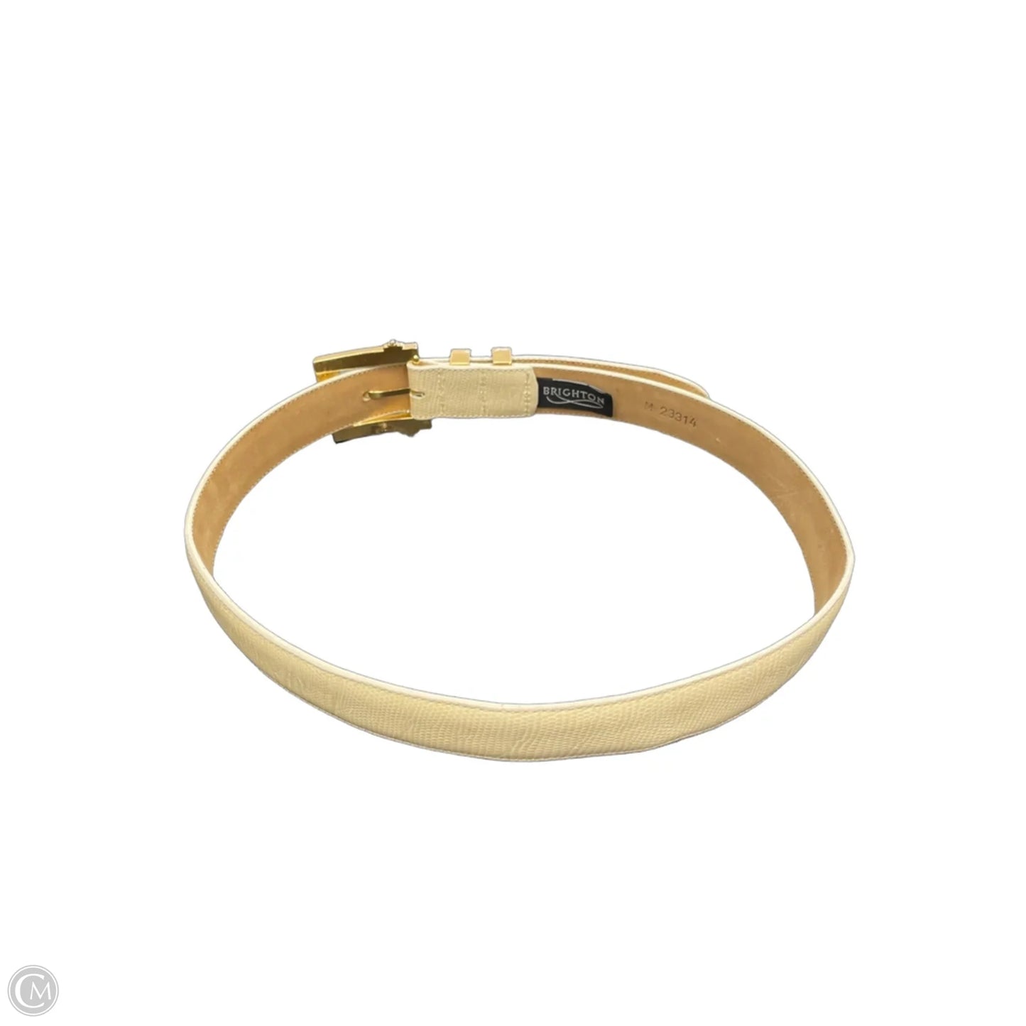 Belt By Brighton, Size: Medium