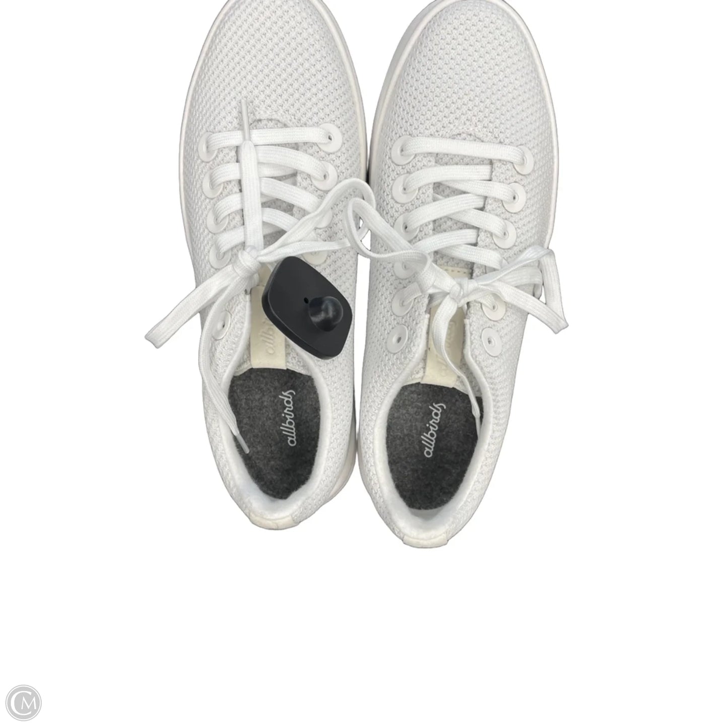 Shoes Sneakers By Allbirds In White, Size: 10.5
