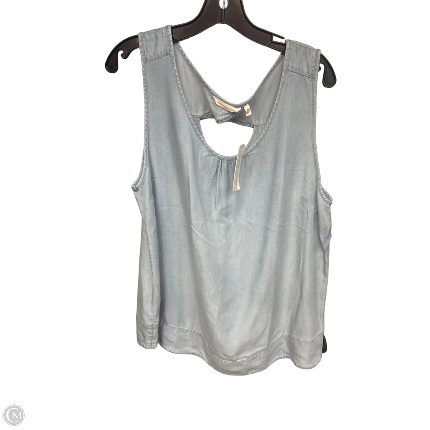 Top Sleeveless By Soft Surroundings In Blue, Size: Xl