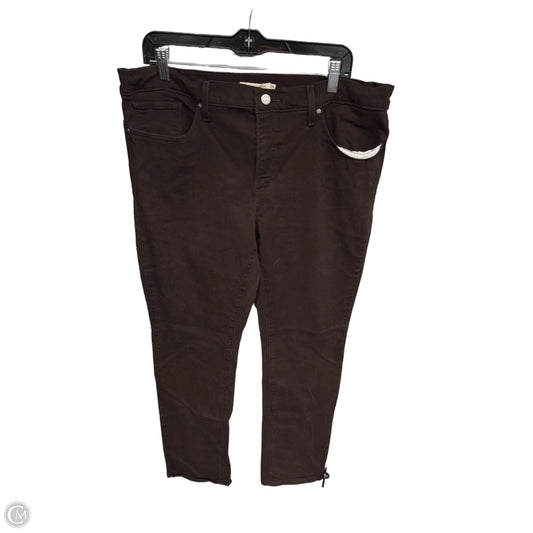 Pants Chinos & Khakis By Levis In Brown, Size: 14