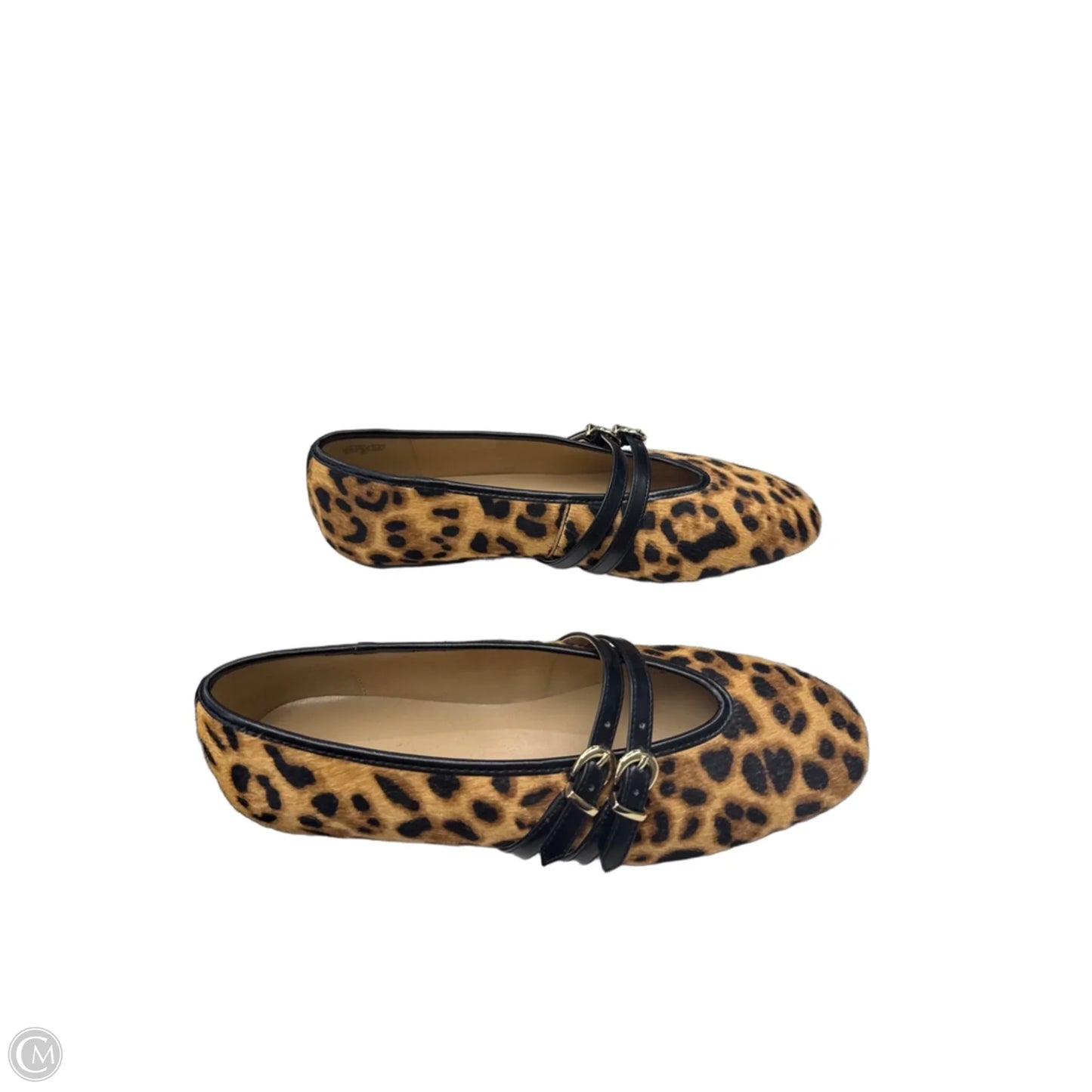 Shoes Flats By Ann Taylor In Leopard Print, Size: 9