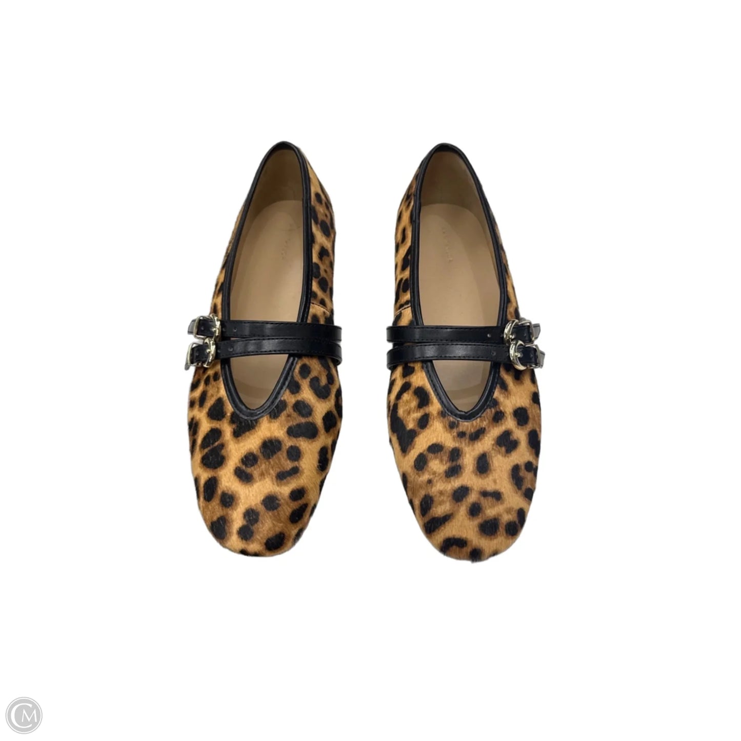 Shoes Flats By Ann Taylor In Leopard Print, Size: 9