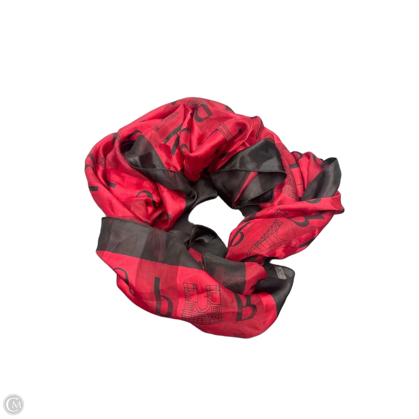 Scarf Long By Clothes Mentor
