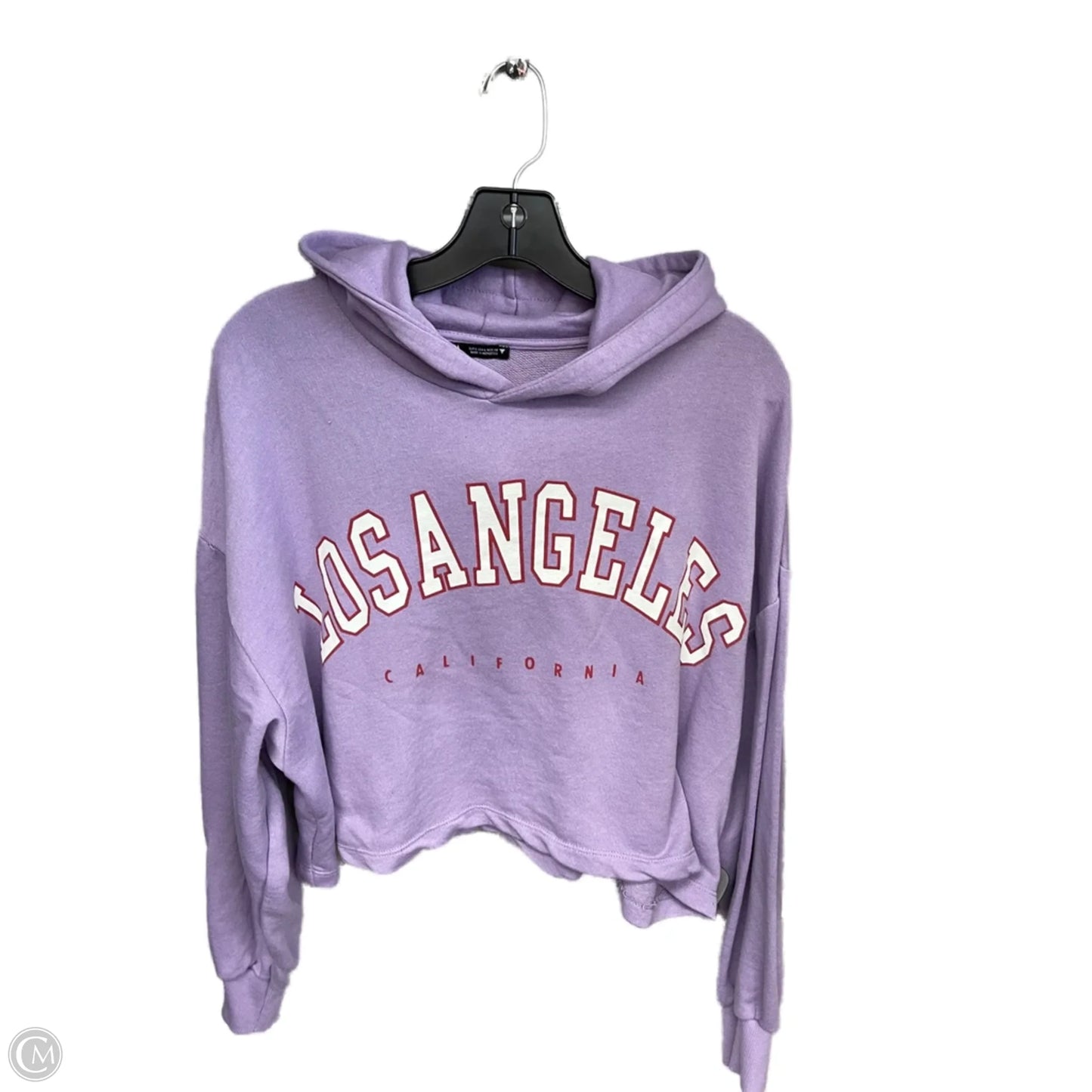 Sweatshirt Hoodie By Zara In Purple, Size: L