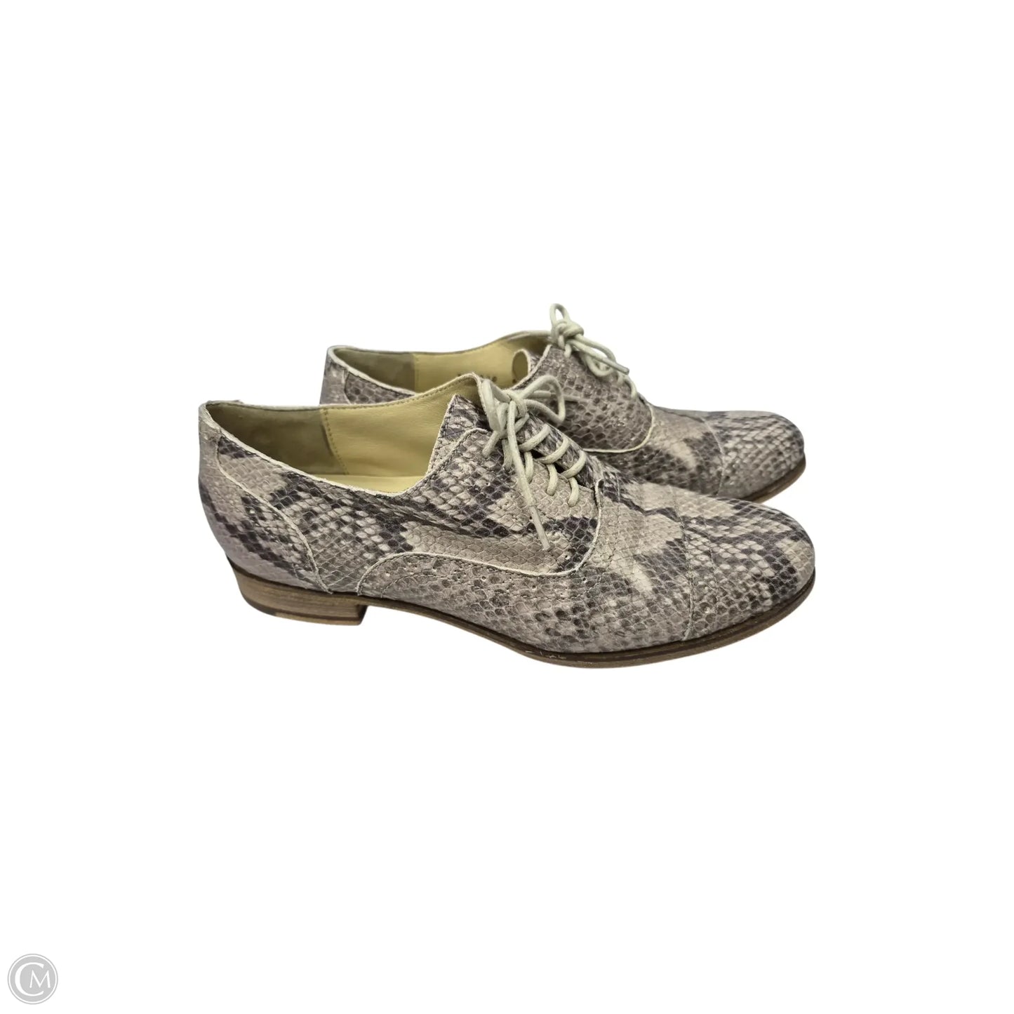 Shoes Flats By Cole-haan In Snakeskin Print, Size: 6