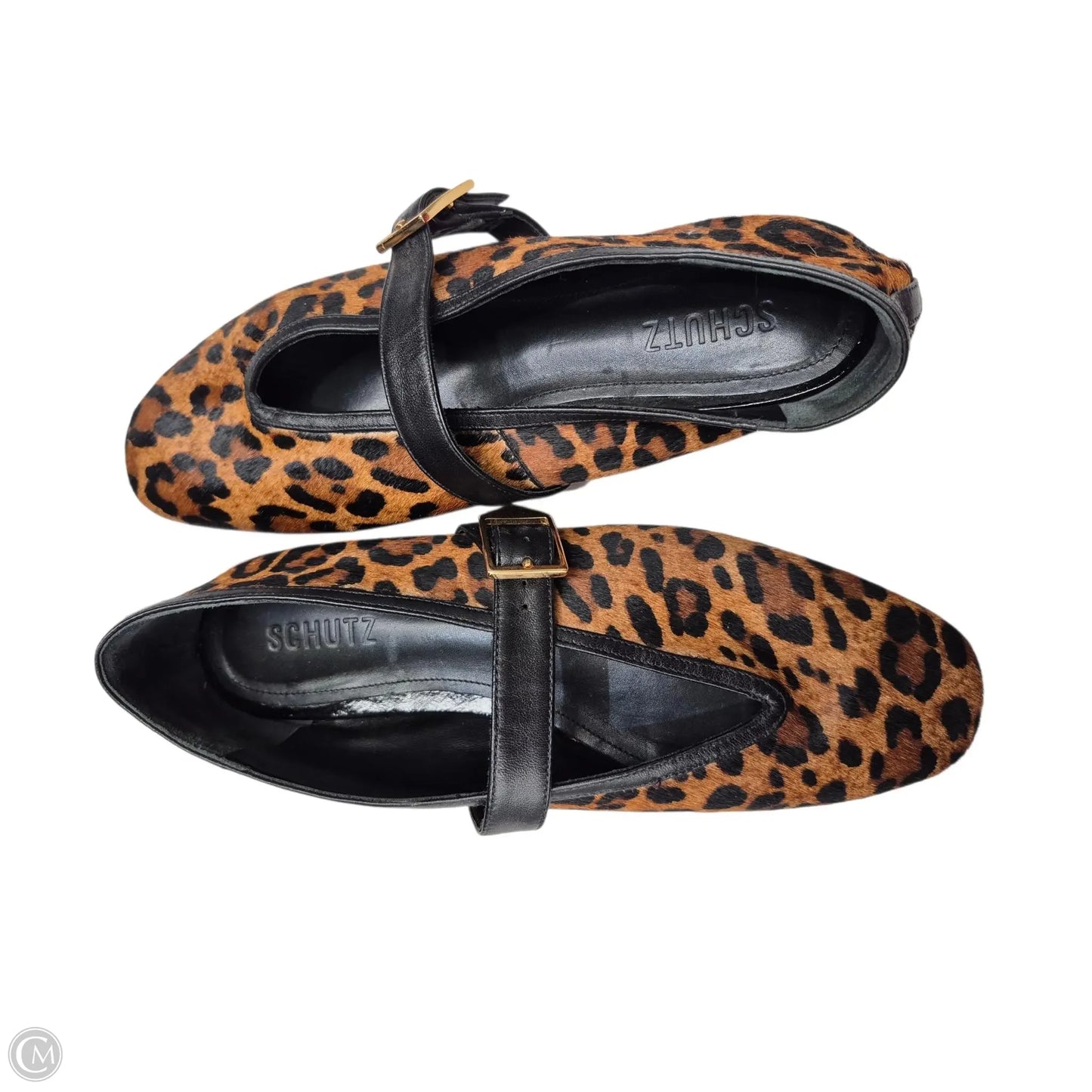 Shoes Flats By Schutz In Animal Print, Size: 8