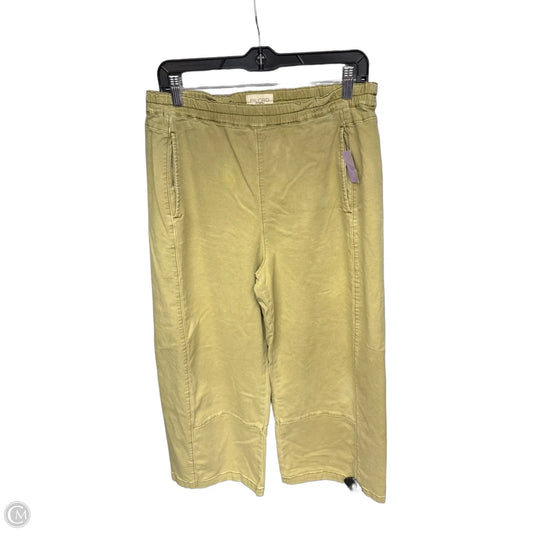 Pants Chinos & Khakis By Pilcro In Green, Size: M