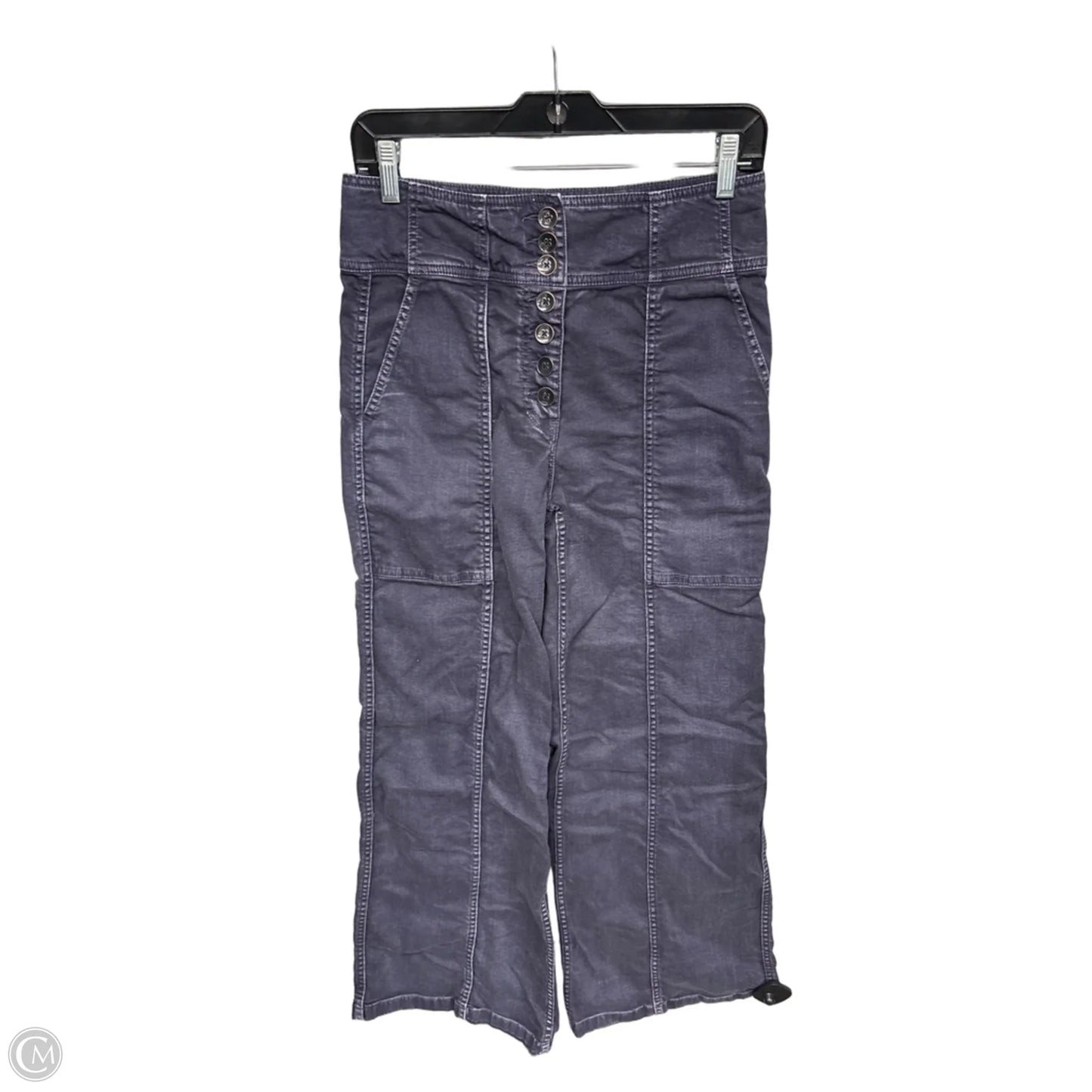 Pants Cargo & Utility By Ulla Johnson In Purple, Size: 6