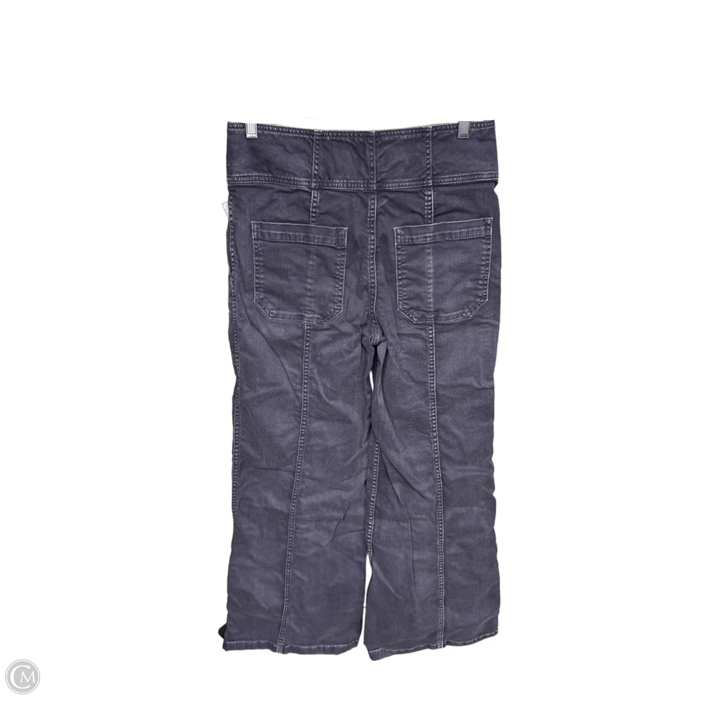 Pants Cargo & Utility By Ulla Johnson In Purple, Size: 6