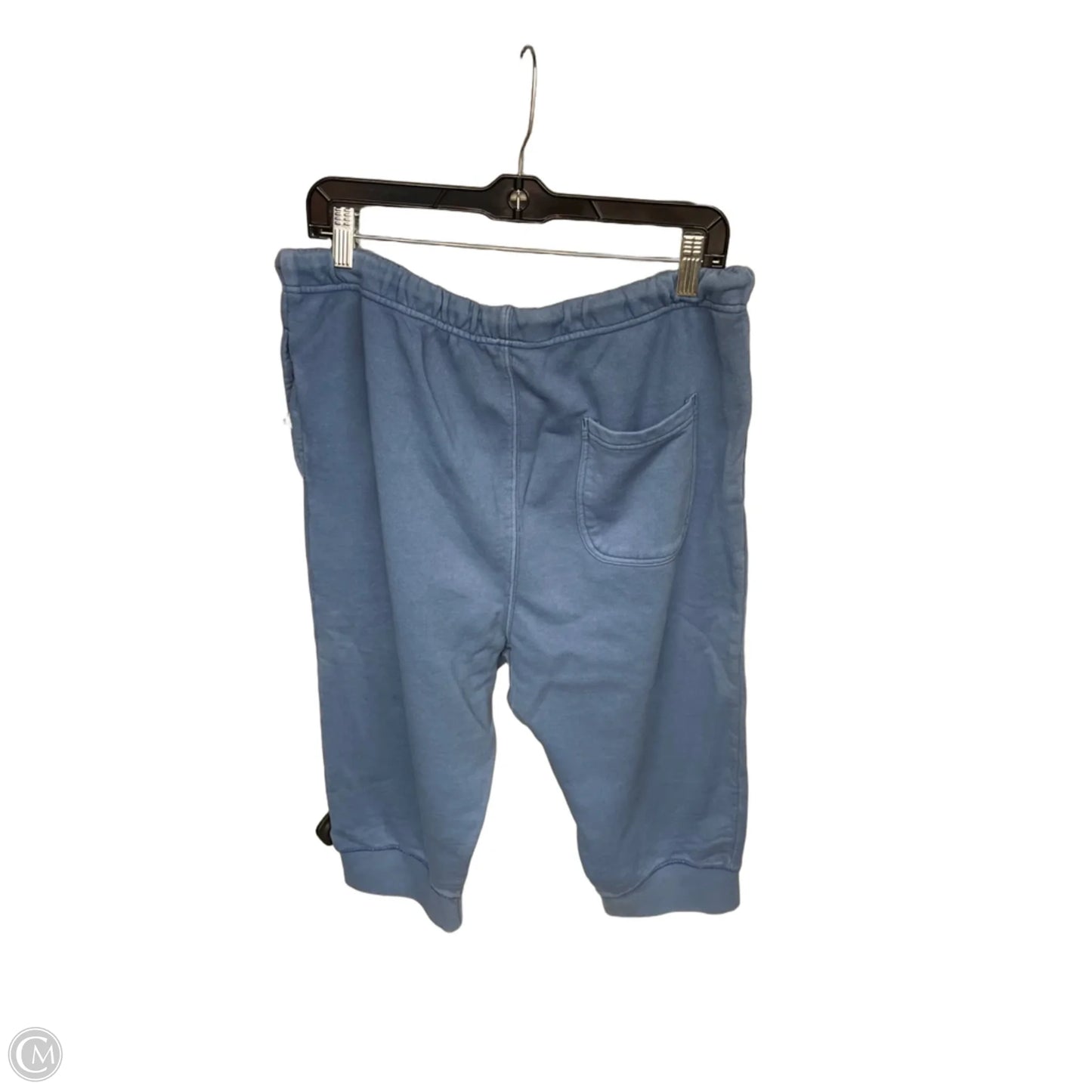 Athletic Pants By Free People In Blue, Size: M