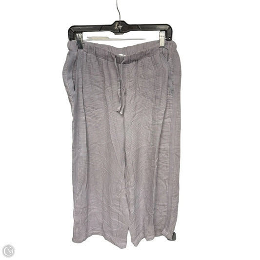 Pants Wide Leg By Splendid In Grey, Size: M