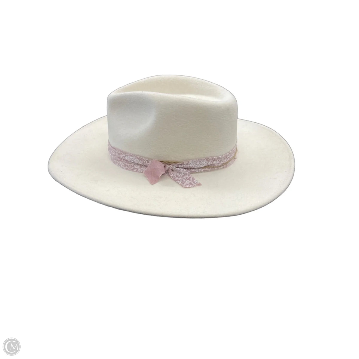 Hat Fedora By Anthropologie