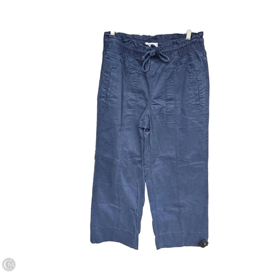 Pants Wide Leg By Sonoma In Navy, Size: M