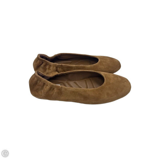 Shoes Flats By Steve Madden In Brown, Size: 9.5