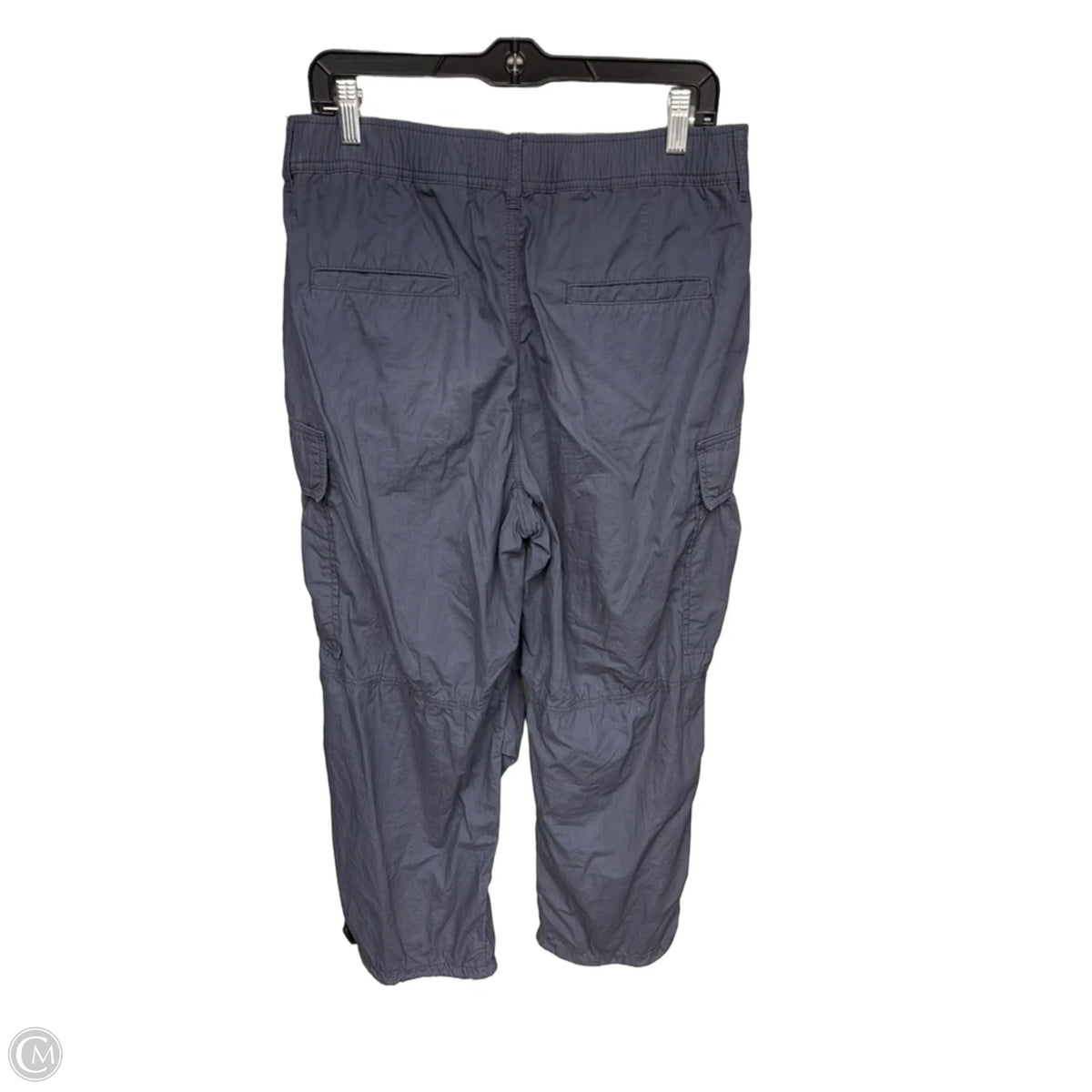 Pants Cargo & Utility By Anthropologie In Blue, Size: 30