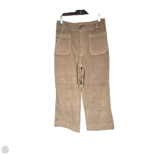 Pants Corduroy By Velvet Heart In Brown, Size: 26