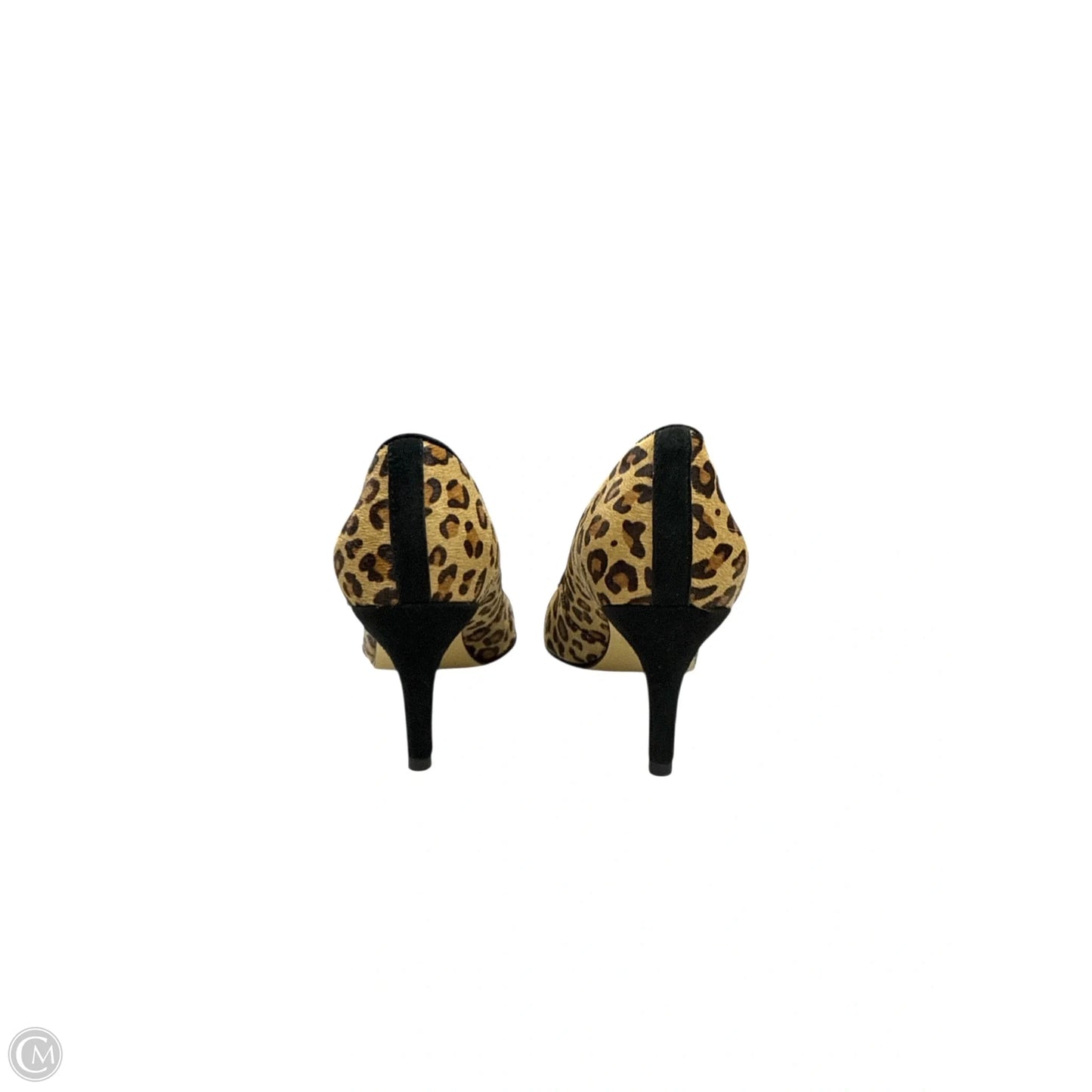 Shoes Heels Stiletto By Vaneli In Animal Print, Size: 8.5