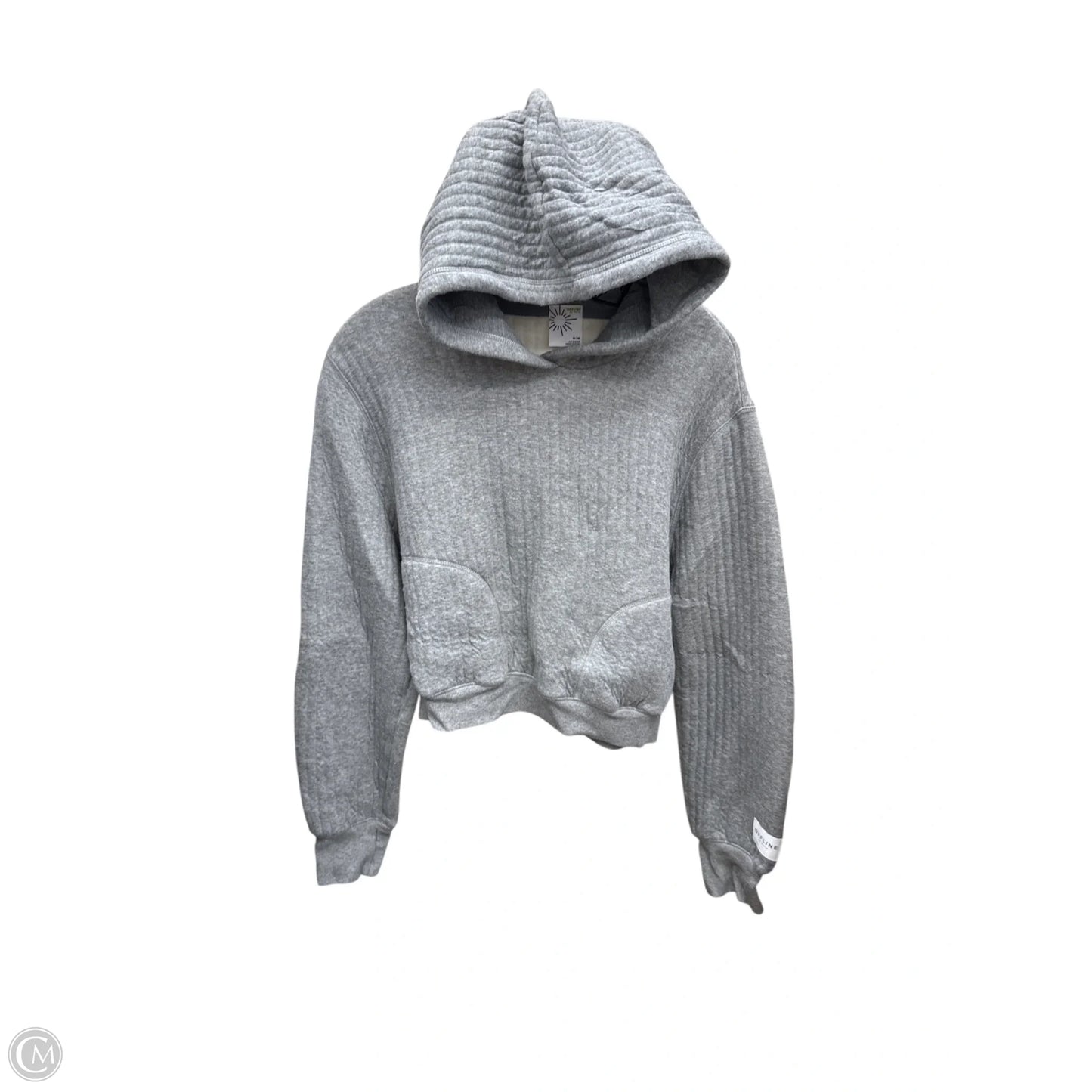 Sweatshirt Hoodie By Aerie In Grey, Size: M