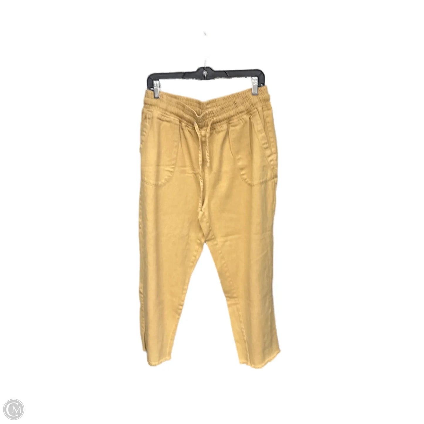 Pants Chinos & Khakis By Thread And Supply In Tan, Size: Xl