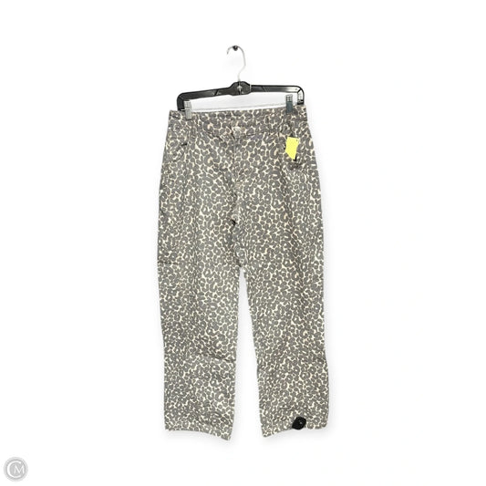Pants Other By Wild Fable In Animal Print, Size: S