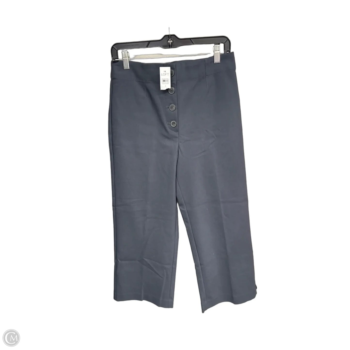 Pants Wide Leg By Loft In Blue, Size: 6