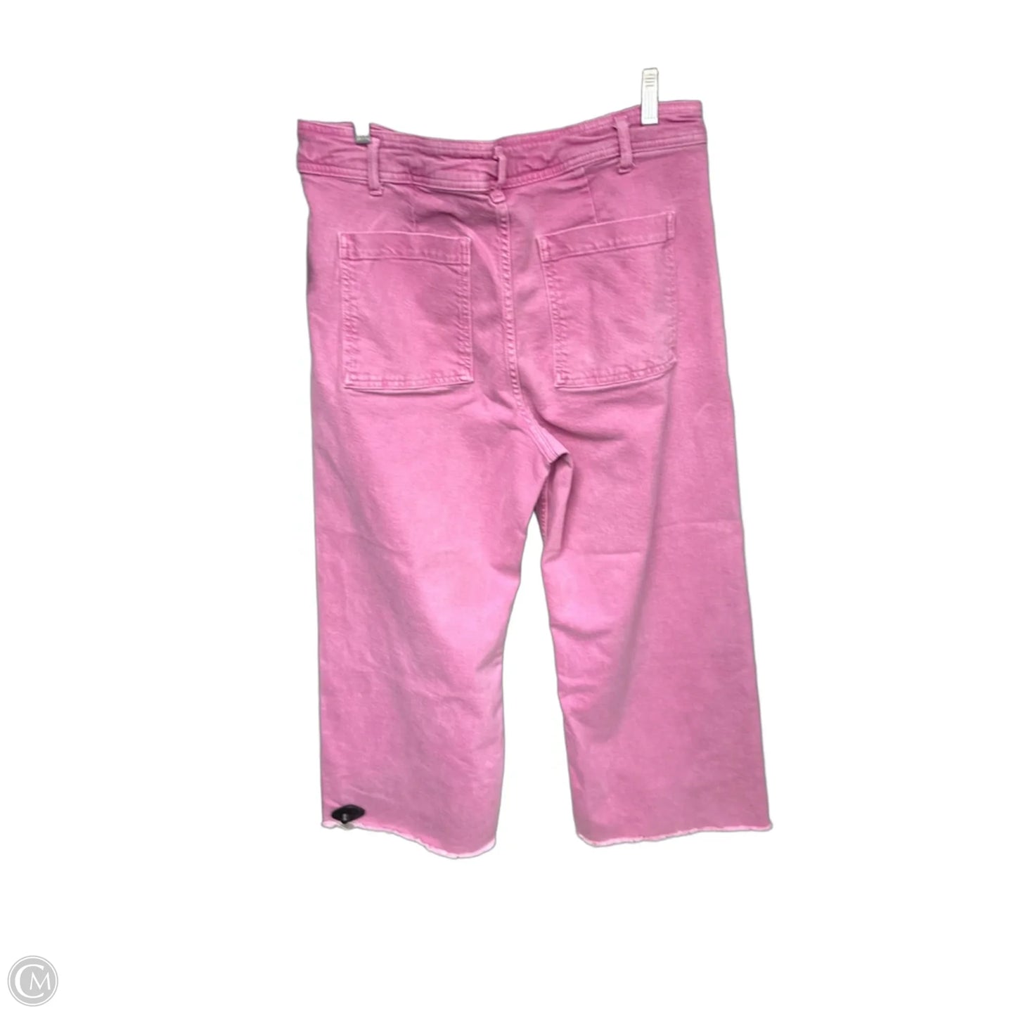 Pants Wide Leg By Zara In Pink, Size: 14