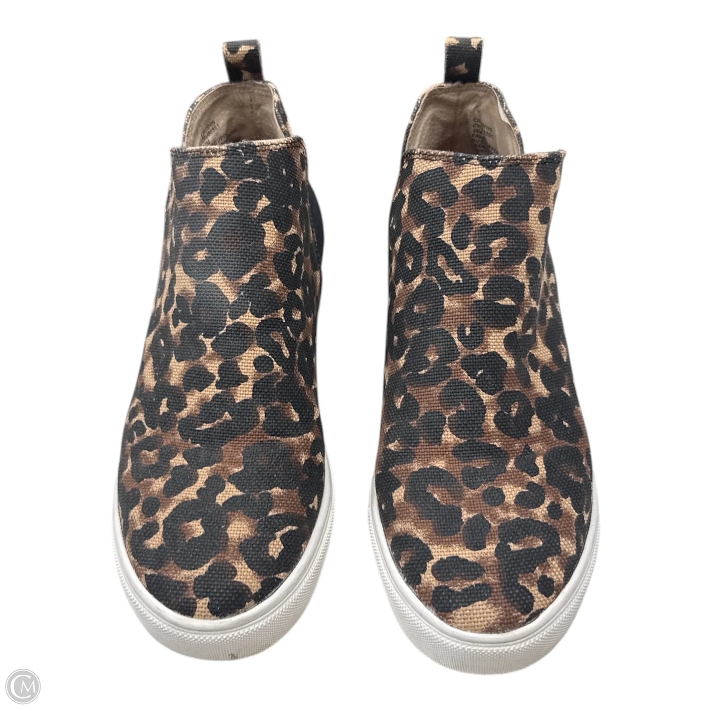 Shoes Sneakers By Steve Madden In Animal Print, Size: 10