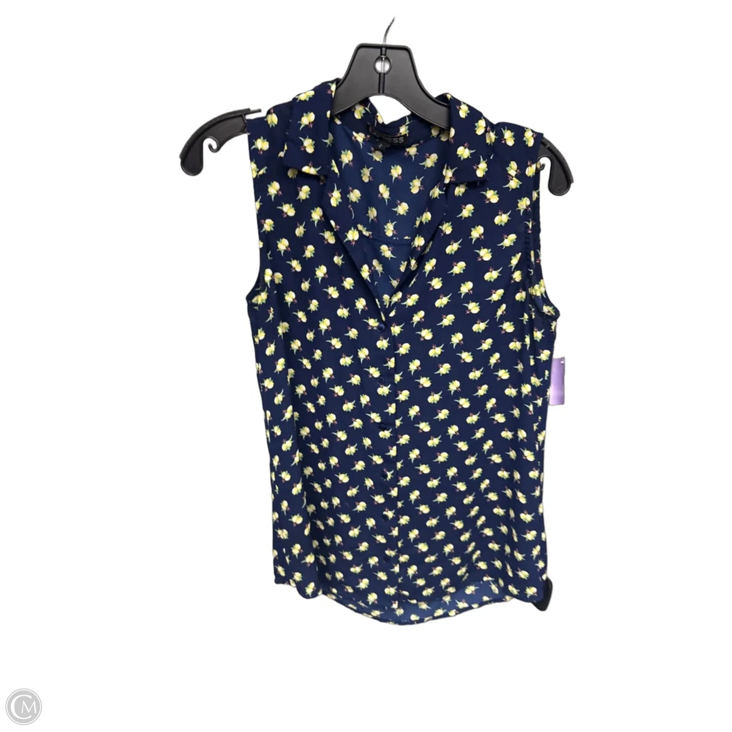 Top Sleeveless By Express In Blue & Yellow, Size: S