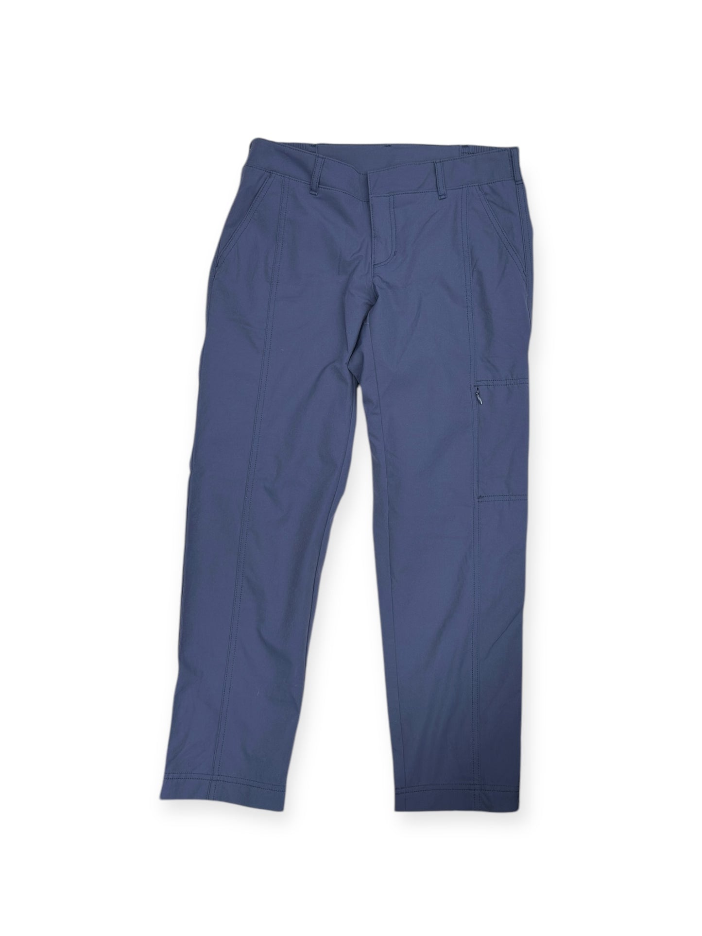 Athletic Pants By Kirkland In Blue, Size: 2