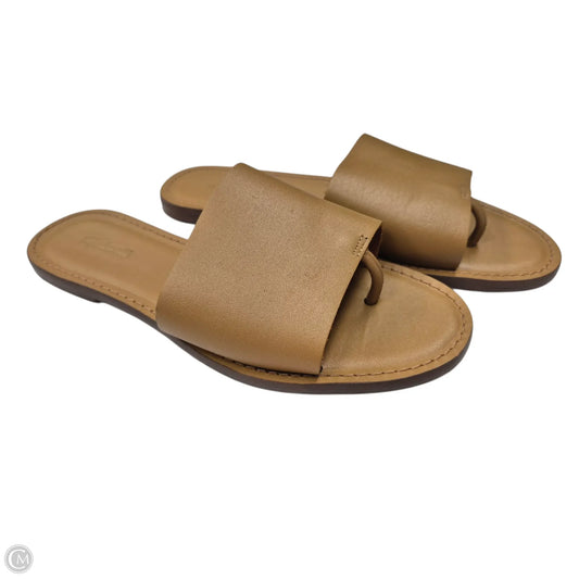 Sandals Flats By Madewell In Brown, Size: 7