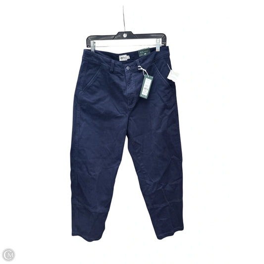 Pants Other By Clothes Mentor In Navy, Size: 10