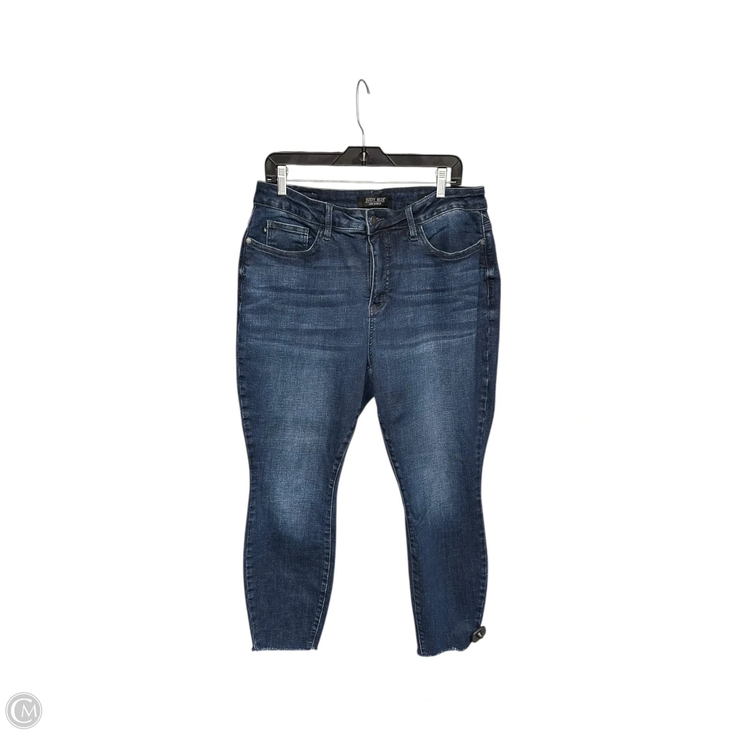 Jeans Skinny By Judy Blue In Blue Denim, Size: 16