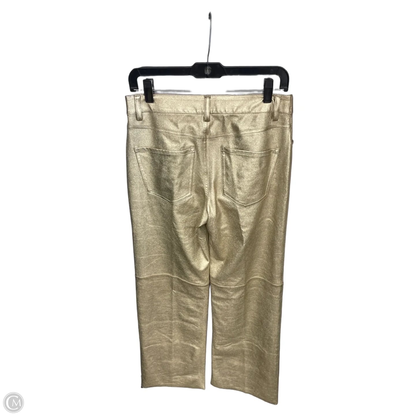 Pants Other By Sanctuary In Gold, Size: 6