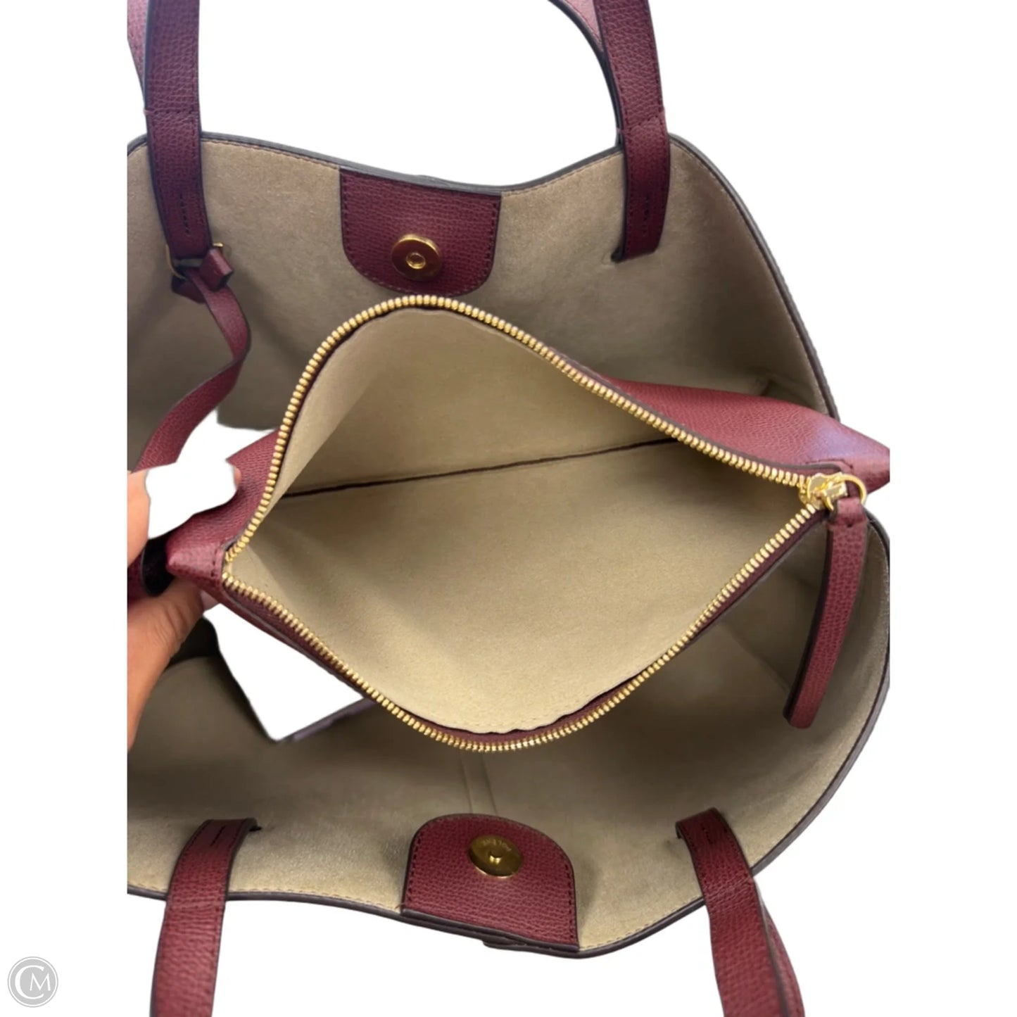 Handbag Designer By Polene, Size: Large