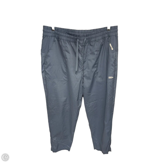 Athletic Pants By Eddie Bauer In Blue, Size: L