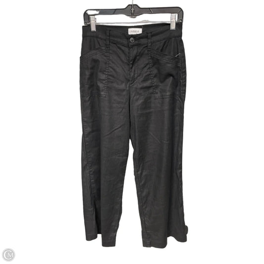 Pants Other By Evereve In Black, Size: 8