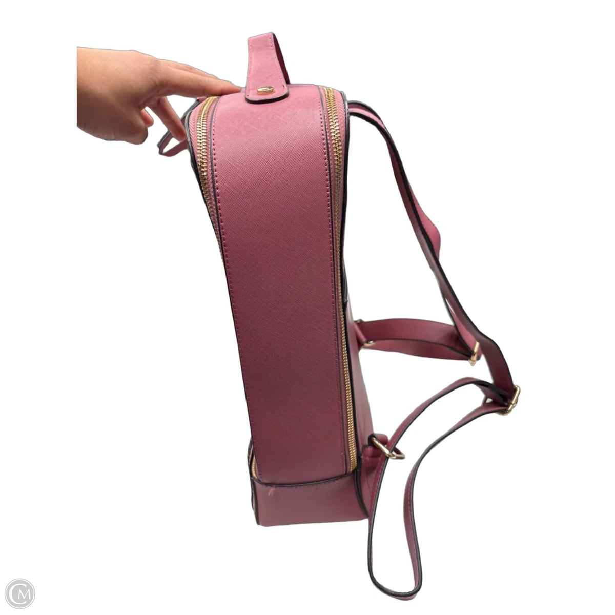 Backpack By Calpak, Size: Large