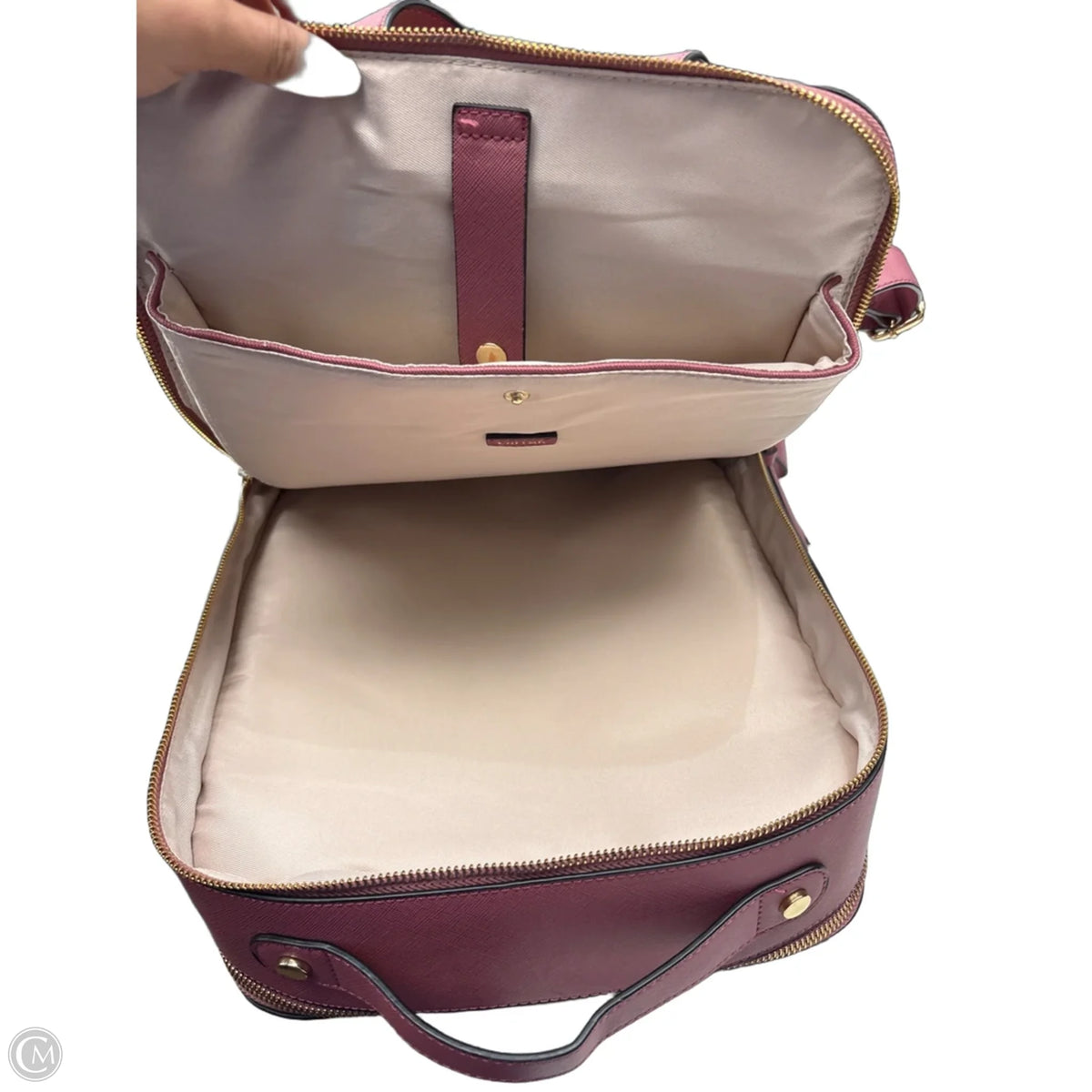 Backpack By Calpak, Size: Large