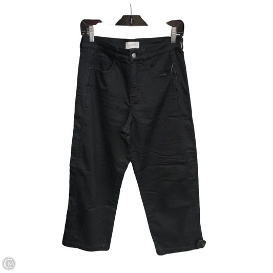 Pants Other By Evereve In Black, Size: 2
