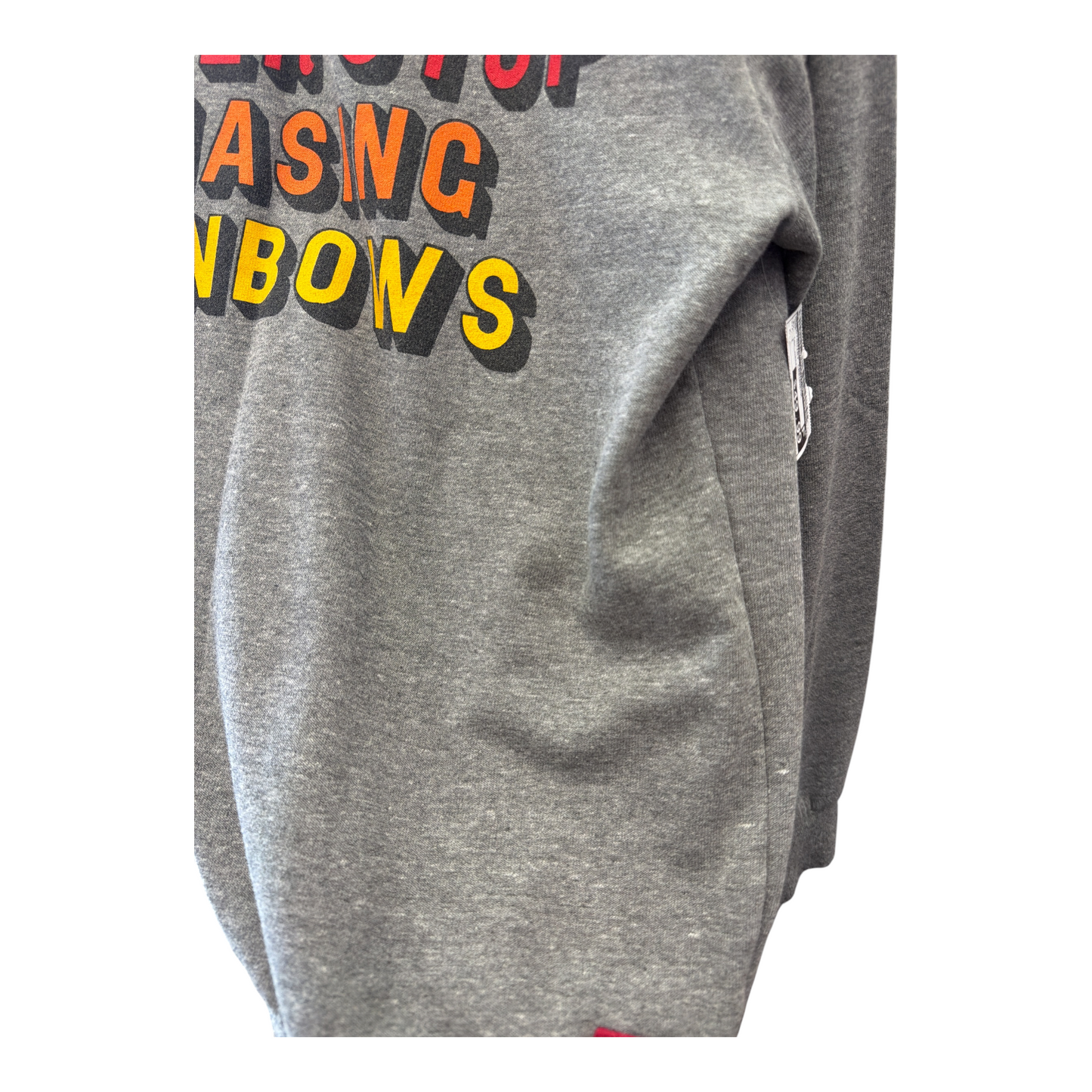 Sweatshirt Crewneck By Aviator Nation In Grey, Size: M